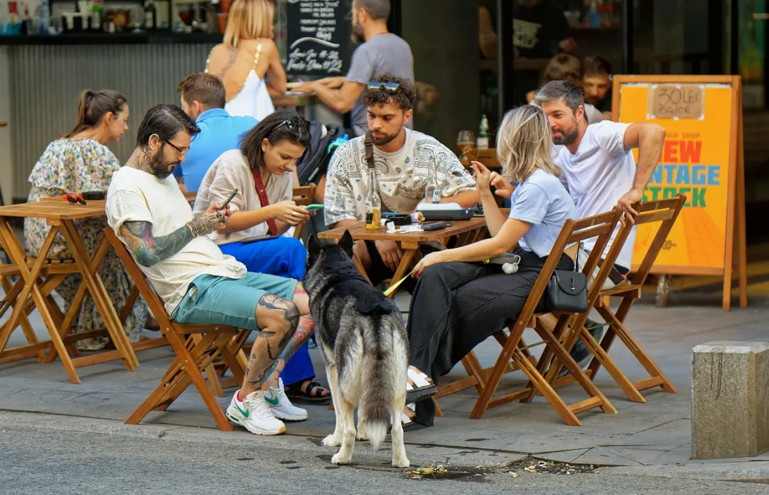 dog friendly restaurants