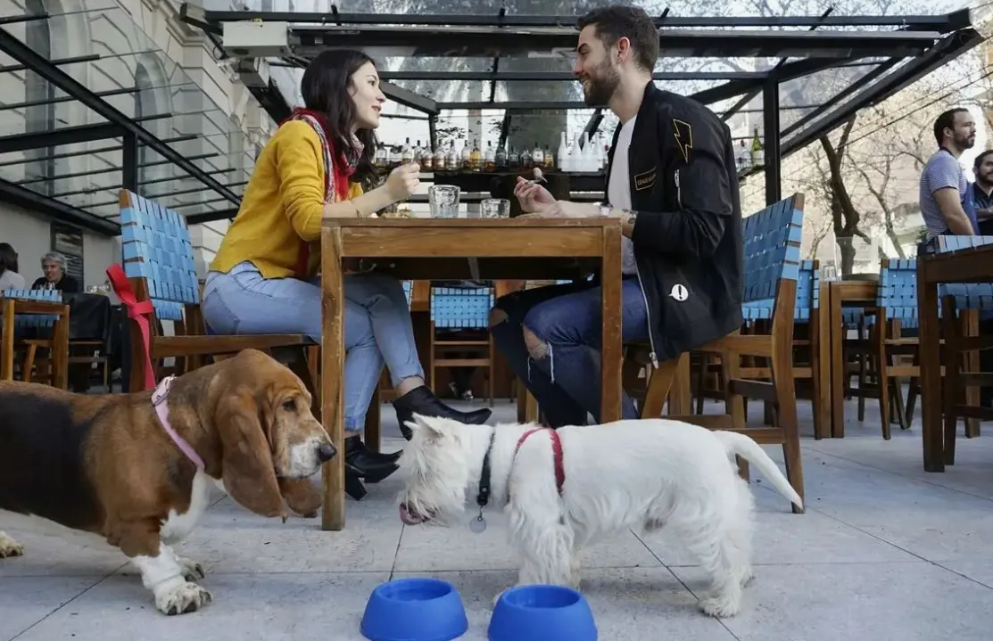 dog friendly restaurants